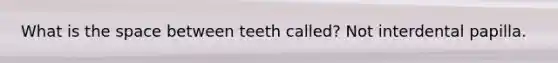 What is the space between teeth called? Not interdental papilla.