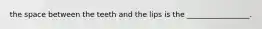 the space between the teeth and the lips is the _________________.