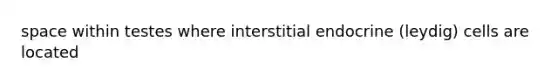 space within testes where interstitial endocrine (leydig) cells are located