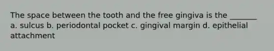 The space between the tooth and the free gingiva is the _______ a. sulcus b. periodontal pocket c. gingival margin d. epithelial attachment
