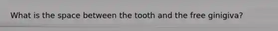 What is the space between the tooth and the free ginigiva?