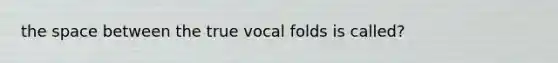 the space between the true vocal folds is called?