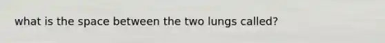 what is the space between the two lungs called?