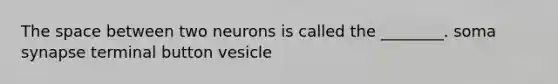 <a href='https://www.questionai.com/knowledge/k0Lyloclid-the-space' class='anchor-knowledge'>the space</a> between two neurons is called the ________. soma synapse terminal button vesicle