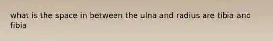 what is the space in between the ulna and radius are tibia and fibia