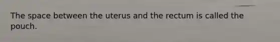 The space between the uterus and the rectum is called the pouch.