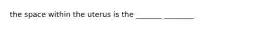 the space within the uterus is the _______ ________