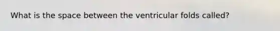 What is the space between the ventricular folds called?