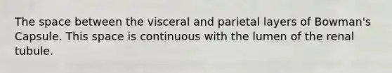 The space between the visceral and parietal layers of Bowman's Capsule. This space is continuous with the lumen of the renal tubule.