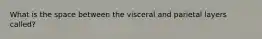 What is the space between the visceral and parietal layers called?