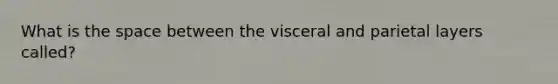 What is the space between the visceral and parietal layers called?