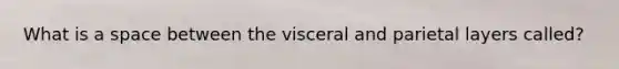 What is a space between the visceral and parietal layers called?