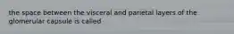 the space between the visceral and parietal layers of the glomerular capsule is called