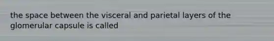 <a href='https://www.questionai.com/knowledge/k0Lyloclid-the-space' class='anchor-knowledge'>the space</a> between the visceral and parietal layers of the glomerular capsule is called