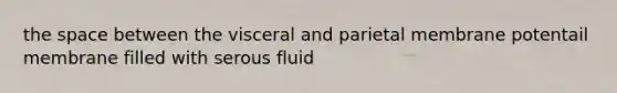 the space between the visceral and parietal membrane potentail membrane filled with serous fluid