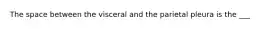 The space between the visceral and the parietal pleura is the ___