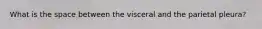 What is the space between the visceral and the parietal pleura?