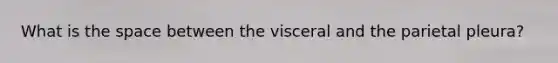 What is the space between the visceral and the parietal pleura?