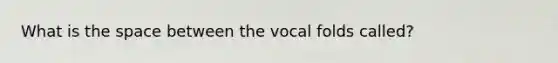 What is <a href='https://www.questionai.com/knowledge/k0Lyloclid-the-space' class='anchor-knowledge'>the space</a> between the vocal folds called?