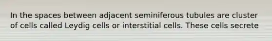 In the spaces between adjacent seminiferous tubules are cluster of cells called Leydig cells or interstitial cells. These cells secrete