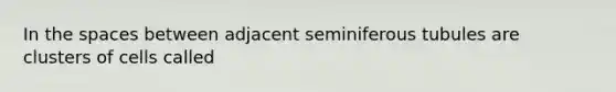 In <a href='https://www.questionai.com/knowledge/k0Lyloclid-the-space' class='anchor-knowledge'>the space</a>s between adjacent seminiferous tubules are clusters of cells called