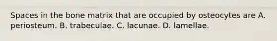 Spaces in the bone matrix that are occupied by osteocytes are A. periosteum. B. trabeculae. C. lacunae. D. lamellae.