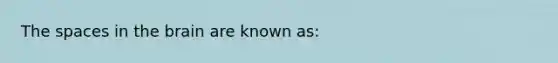 <a href='https://www.questionai.com/knowledge/k0Lyloclid-the-space' class='anchor-knowledge'>the space</a>s in <a href='https://www.questionai.com/knowledge/kLMtJeqKp6-the-brain' class='anchor-knowledge'>the brain</a> are known as: