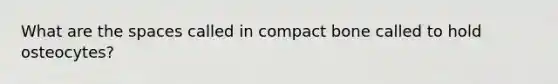 What are the spaces called in compact bone called to hold osteocytes?