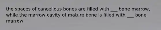 the spaces of cancellous bones are filled with ___ bone marrow, while the marrow cavity of mature bone is filled with ___ bone marrow