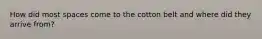 How did most spaces come to the cotton belt and where did they arrive from?