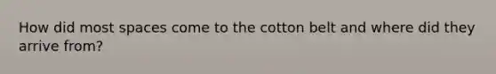 How did most spaces come to the cotton belt and where did they arrive from?