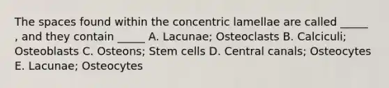 The spaces found within the concentric lamellae are called _____ , and they contain _____ A. Lacunae; Osteoclasts B. Calciculi; Osteoblasts C. Osteons; Stem cells D. Central canals; Osteocytes E. Lacunae; Osteocytes