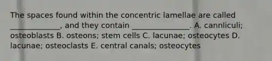 The spaces found within the concentric lamellae are called _____________, and they contain _______________. A. cannliculi; osteoblasts B. osteons; stem cells C. lacunae; osteocytes D. lacunae; osteoclasts E. central canals; osteocytes