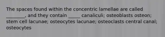 The spaces found within the concentric lamellae are called ________, and they contain _____ canaliculi; osteoblasts osteon; stem cell lacunae; osteocytes lacunae; osteoclasts central canal; osteocytes