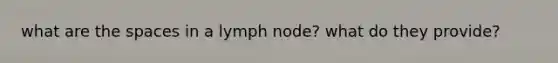 what are the spaces in a lymph node? what do they provide?