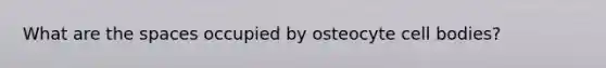 What are the spaces occupied by osteocyte cell bodies?