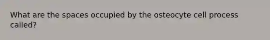 What are the spaces occupied by the osteocyte cell process called?