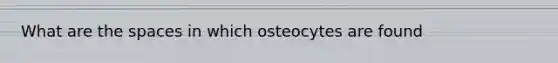 What are the spaces in which osteocytes are found