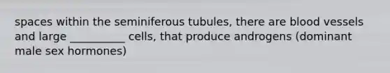 spaces within the seminiferous tubules, there are blood vessels and large __________ cells, that produce androgens (dominant male sex hormones)