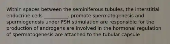 Within spaces between the seminiferous tubules, the interstitial endocrine cells __________. promote spermatogenesis and spermiogenesis under FSH stimulation are responsible for the production of androgens are involved in the hormonal regulation of spermatogenesis are attached to the tubular capsule