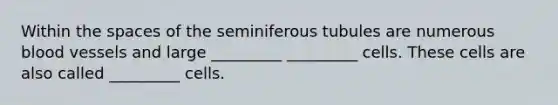 Within <a href='https://www.questionai.com/knowledge/k0Lyloclid-the-space' class='anchor-knowledge'>the space</a>s of the seminiferous tubules are numerous <a href='https://www.questionai.com/knowledge/kZJ3mNKN7P-blood-vessels' class='anchor-knowledge'>blood vessels</a> and large _________ _________ cells. These cells are also called _________ cells.
