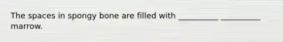 <a href='https://www.questionai.com/knowledge/k0Lyloclid-the-space' class='anchor-knowledge'>the space</a>s in spongy bone are filled with __________ __________ marrow.