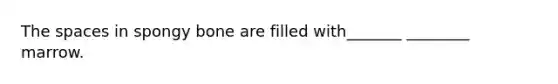 <a href='https://www.questionai.com/knowledge/k0Lyloclid-the-space' class='anchor-knowledge'>the space</a>s in spongy bone are filled with_______ ________ marrow.