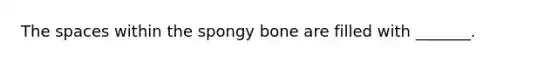 The spaces within the spongy bone are filled with _______.