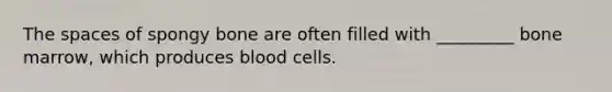 The spaces of spongy bone are often filled with _________ bone marrow, which produces blood cells.