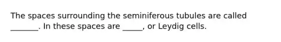 The spaces surrounding the seminiferous tubules are called _______. In these spaces are _____, or Leydig cells.