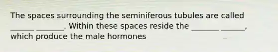 The spaces surrounding the seminiferous tubules are called ______ _______. Within these spaces reside the _______ ______, which produce the male hormones