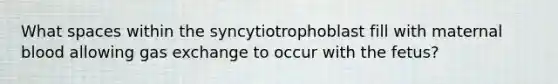 What spaces within the syncytiotrophoblast fill with maternal blood allowing gas exchange to occur with the fetus?