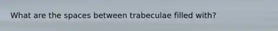 What are the spaces between trabeculae filled with?