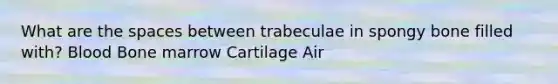 What are <a href='https://www.questionai.com/knowledge/k0Lyloclid-the-space' class='anchor-knowledge'>the space</a>s between trabeculae in spongy bone filled with? Blood Bone marrow Cartilage Air